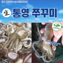 자연산 통영 제철 알통통 쭈꾸미 1kg 2kg 3kg 신선한 산지직송 당일조업 생물 활쭈꾸미, 통영활쭈꾸미 1kg