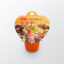 상추 키우기 미니 화분 세트 1P 모종 새싹 재배기