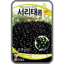 콩 옥수수 씨앗 강낭콩 작두콩 서리태 호랑이콩 종자 백태 땅콩 율무 녹두 팥 완두콩 씨, 16. 서리태콩 50g