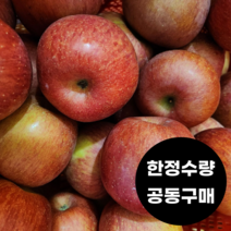 문경 부사사과 가정용사과 흠사과 흠집사과 못난이사과 혼합과 10kg 초특가 공동구매, 가정용 사과 10kg (26-30과), 1개