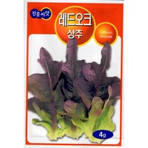 레드오크 상추 4g - 연하고 아삭한 상추 씨앗 종자
