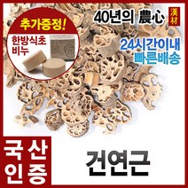자애인 국산 연근 600g 건조연근 연근차 충북괴산, 단품