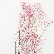 몰드몰 프리저브드플라워 - 투톤핑크안개