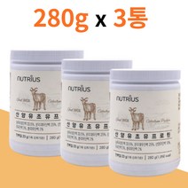 고단백 산양유 초유 단백질 프로틴 분말 가루 3통 해썹인증 농축유청 분리대두 단백 담백 프러틴 운동 헬스 전 후 식사대용 성장기 어린이 수험생 부모님 갱년기 성인 온가족