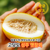 [고당도측정후출고] 마미템 고당도 성주 참외 가정용 정품 미니 중과 대과 혼합과 2kg 3kg 5kg, 정품 3kg 대과, 1개