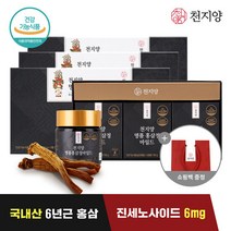 [천지양] 명품 홍삼정 마일드 (100g x 3병) x 3세트 + 쇼핑백, 단품, 단품