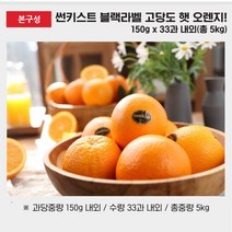 오렌지가넷판매 브랜드 순위