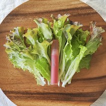 아기 상추 적상추 1kg 어린잎 샐러드 채소 반반세트 당일작업, 아기상추 500g 쑥갓500g