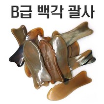 B급 백각 괄사 수량한정 반품 교환불가, 물고기괄사