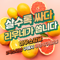 [파격이벤트] 청정제주 리우네감귤 여름귤 하우스밀감 3kg 2박스 / 10kg, 하우스 로얄과 5kg x 2박스