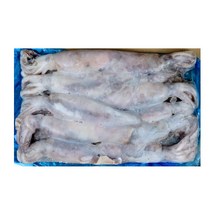 배동바지 냉동 오징어 3kg, 1개