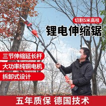 고지톱 가지치기 장대 전지톱 Maiyue 전기 가지 톱 충전식 고도 치기 텔레스코픽 연장 막대 정원 과일 나무 체인, [19] [9], 1개