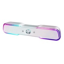 로이체 2채널 멀티미디어 RGB 레인보우 LED 게이밍 사운드바 스피커, 화이트에디션, RSB-G5000
