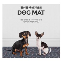 laterior 먼지없는 매트