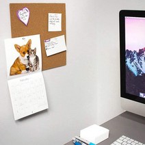 접착식 코르크보드 300x300x10mm 게시판 코르크보드판, 코르크