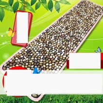 발바닥 지압판 2m 옥돌 발 마사지 가정용 지압 매트, 화이트 50x200cm