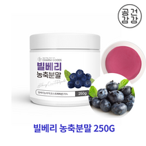 공감건강 빌베리분말 눈건강 안토시아닌 루테인 빌베리효능 가루 야간시력 250G 1통