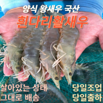 고흥 제철 흰다리 활 새우 대하, 1kg(40미 내외)