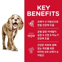 힐스 힐스 사이언스 강아지 사료 어덜트 11세 이상 노령견 시니어 에이지 디파잉 스몰포 2kg2533