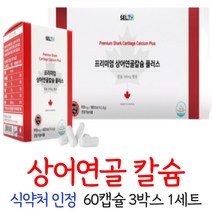 상어연골 칼슘 콘드로이친 캡슐 식약처인정 4중 복합기능성 상어연골분말 곤드로이친 콘트로이친, 1개, 60캡슐 x 3박스