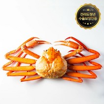 [선주직송 수율보상제] 속이 실한 포항 구룡포 홍게 소 중 대 5마리, [수율보장] 박달홍게 대 사이즈 5마리