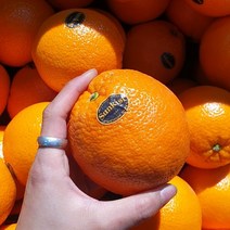 프리미엄 고당도 오렌지 한박스, 15KG72과(중과)