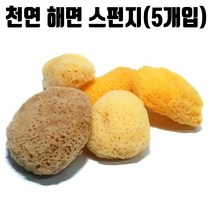 천연 해면 스펀지 페인트 도자기 페인팅 미술 재료 5p, 본상품선택