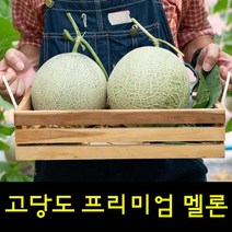 영화농산 프리미엄 멜론 20kg 곡성멜론 멜론가격영화농산 프리미엄 멜론 20kg 곡성멜론 허니듀메론 칸탈로프멜론 하니원멜론 멜론가격 양구멜론 머스크멜론 여름과일 과일, 1개
