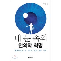 내 눈 속의 한의학 혁명:홍채진단과 침 10개가 만나 이룬 기적, 천년의상상, 박성일 저