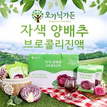 자색양배추브로콜리진액)90ml x 30포, 90ml