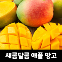 [맛없으면100%환불] 헌터스 초특가 백화점급 프리미엄 애플망고 선물세트, 8kg, 1개