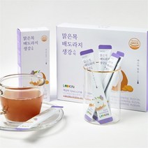 루킨 매스틱 함유 맑은목 배도라지생강 스틱 21p, 252ml, 1개