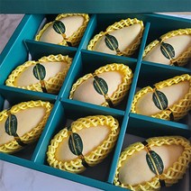 진짜 태국망고 당도선별 항공수입, 310g(선물용), 9개