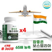 상어연골 글루코사민 콘드로이친 보스웰리아 6개월 손목 발목 무릎 관절 건강 영양제 뉴질랜드 초록 녹색 그린 입 잎 홍합 분말 스테아린산 산화 아연 마그네슘 비타민 D 3 추천