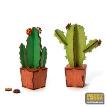 나무 선인장 만들기재료, 알로에