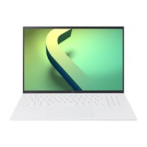 2022 LG전자 그램 16ZD90Q-GX56K (40.6cm 인텔12세대 앨더레이크 CPU NVMe 16GB), Free DOS, 스노우화이트, 1256GB, 코어i5, 16GB