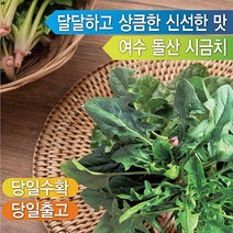 농장 출하 싱싱 섬초 여수 돌산 시금치 2kg