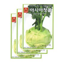 콜라비씨앗 청콜라비(1000립x3) S2476, 3개