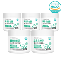 포스트바이오틱스 프로 프리 바이오틱스 HACCP 식약처인증 루테리 모유 유산균, 250g, 5통, 5개