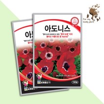 아도니스 150립 세계종묘 화훼류 씨앗