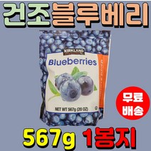코스트코 커클랜드 시그니쳐 건조 블루베리 567g 미국 말린블루베리