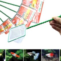에이스 수족관뜰채 3인치-열대어 수족관 물고기 망/헬로아쿠아