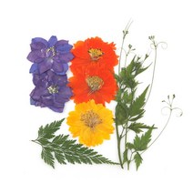[압화꽃팩]들꽃향기공방/체험재료/JPS25/코스모스누름꽃팩패키지, 1P