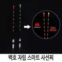 SZ몰 백호 자립 스마트 사선찌 내림찌 올림찌 전자찌 민물찌 하우스찌 민물낚시찌 입질감지, B 타입