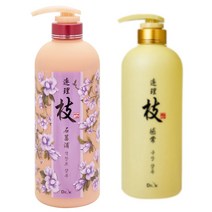 일진 Dr.k 연리지 석창포샴푸(비듬/문제성두피)750ml, 일진 구상샴푸
