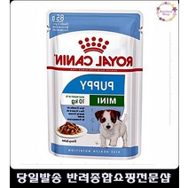 풀죽은강아지활동성증가 강아지좋은사료 도베르만사료 퍼피사료추천 반려견사료