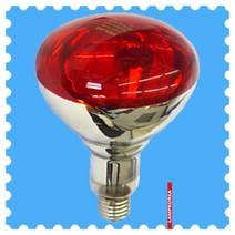 R125 IR 250W PAR38 적외선램프 의적전구 찜질용 물리치료 원적외선