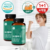 FHLAB 보스웰리아 효능 추천 추출 분말 정 4개월분, 60정, 2개