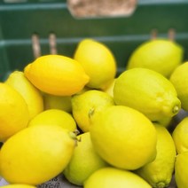 산지직송 제주레몬 국산레몬 제라몬 1kg 3kg 5kg, 제주레몬_제라몬_3kg