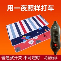 12V 전기장판 DC 캠핑 전기매트 차박 캠핑 카라반 2인용 시가잭, A + 180x60cm